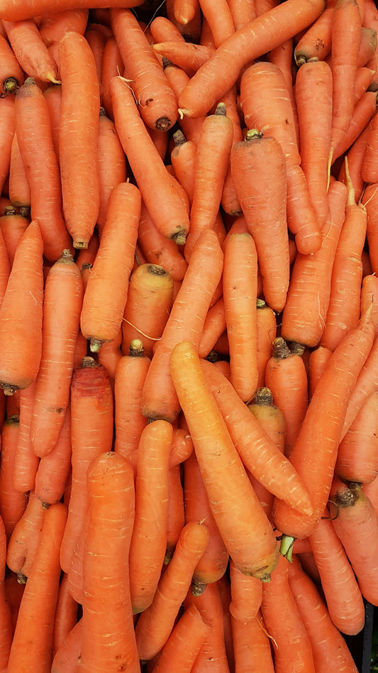 Carota 1 pz