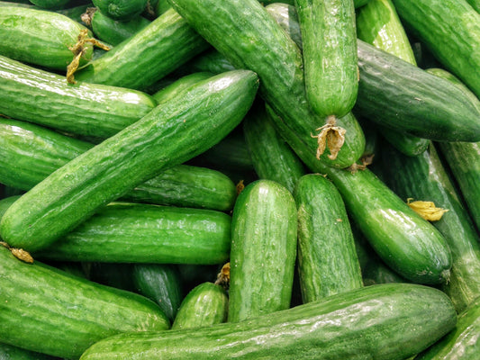 Cetriolo 1 pz
