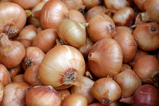 Cipolla gialla 1 pz