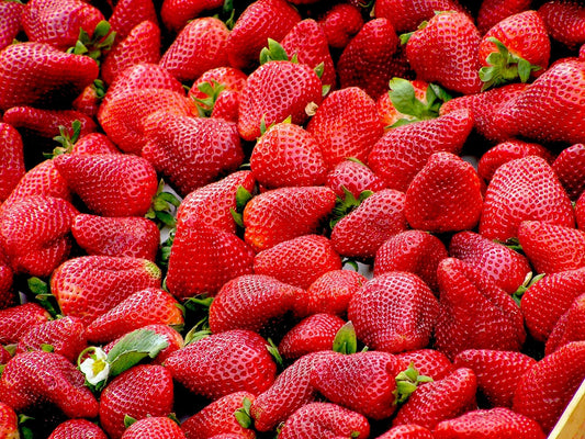 Fragola 1 pz